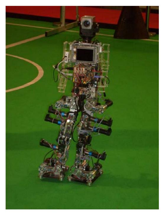 Fig. 4. Walking robot