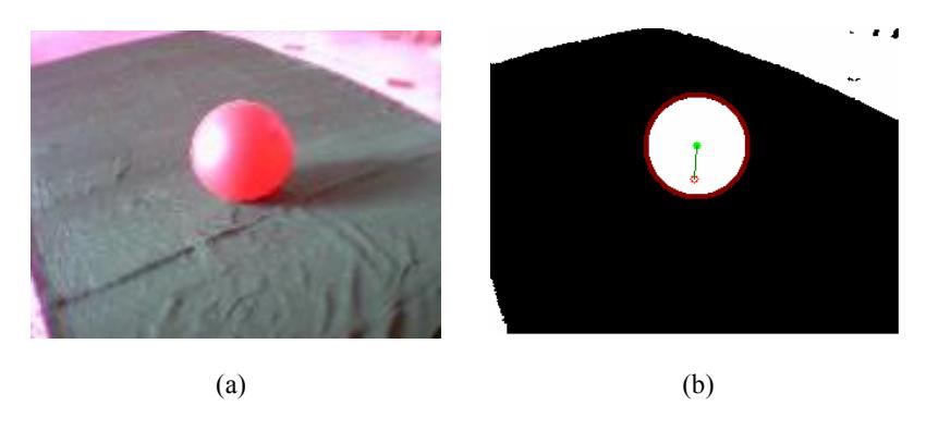 Fig 4: (a) the placement of the ball on the field. (b) the detected ball on the field using circular hough transform.