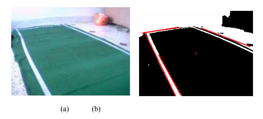 Fig 3: (a) the placement of the field lines. (b) the detected lines on the field using linear hough transform.