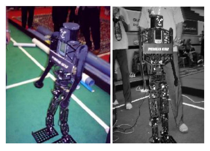 Fig 2.1 - Persian Gulf Humanoid Robot