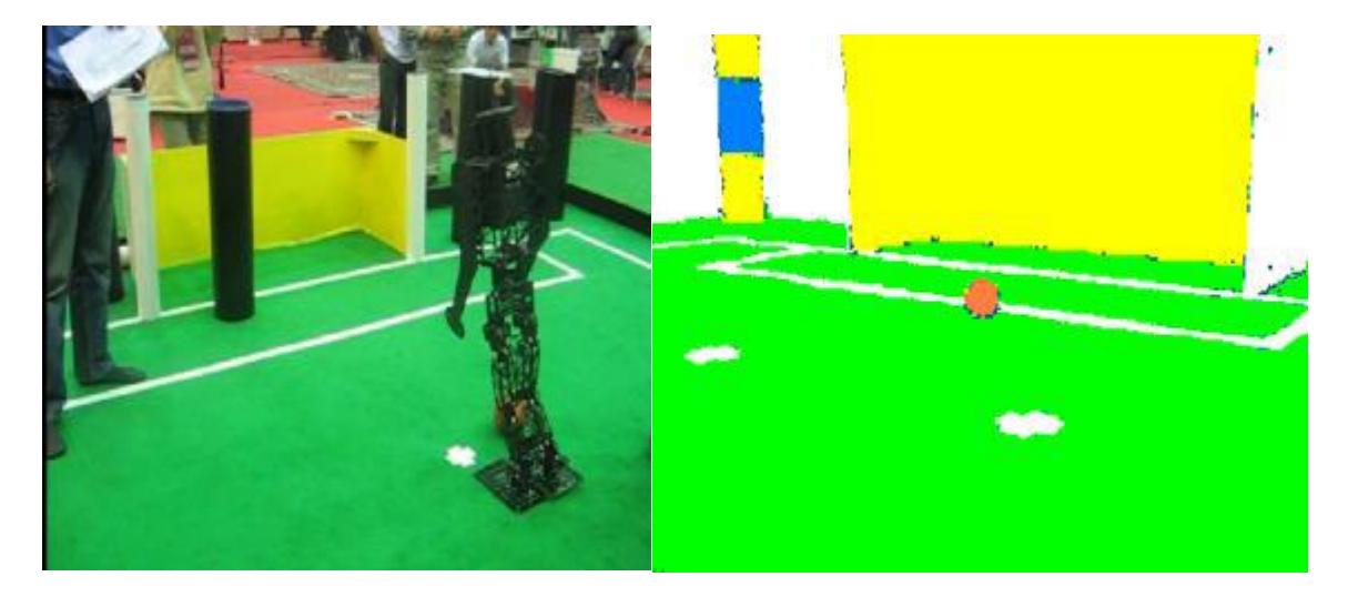 Fig 4.3.1 - Field of Play after color reduction