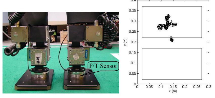 Fig. 6. Force/Torque sensors in the ankles.