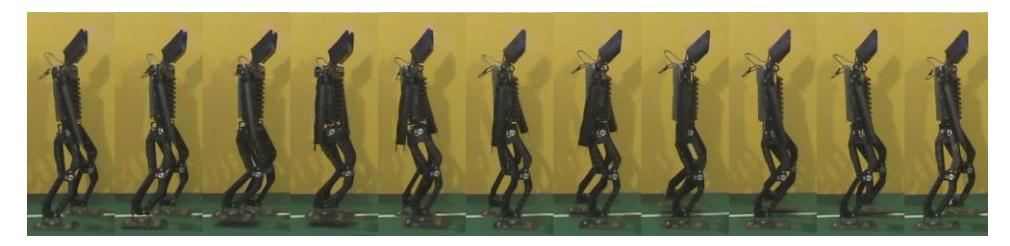 Fig. 7-1 Forward walking image sequence