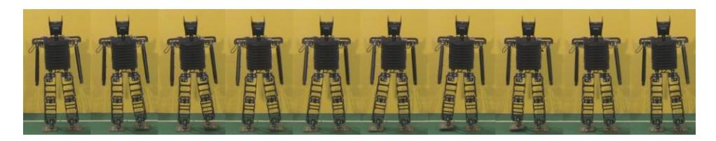 Fig. 7-2 Sideward walking image sequence