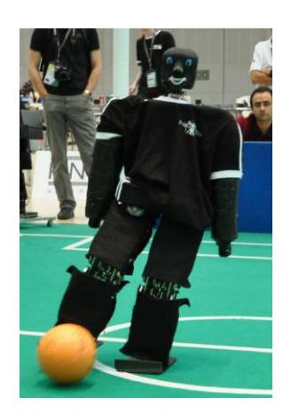 Fig. 2. NimbRo TeenSize robots Bodo, Robotina, and Dynaped.