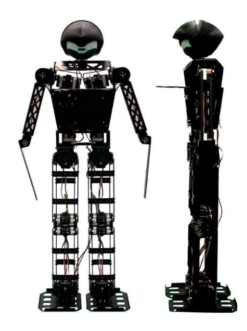 Fig. 1. RETr-2010, the latest version Robo-Erectus TeenSize.