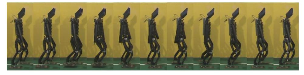 Fig. 7-1 Forward walking image sequence
