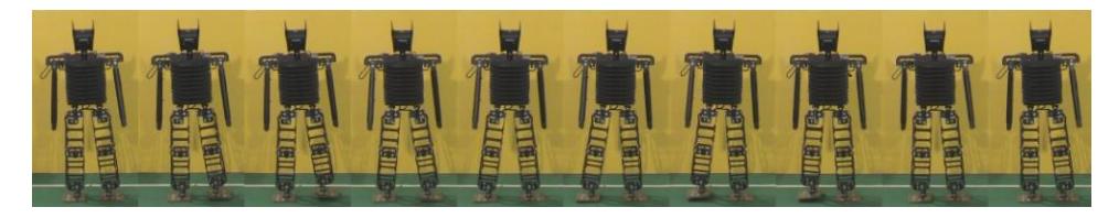 Fig. 7-2 Sideward walking image sequence