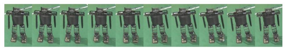 Fig. 7-3 Turning image sequence