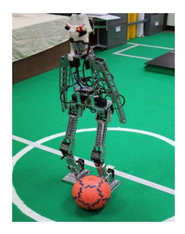 Fig. 1. Ka-Ti (Goalie)