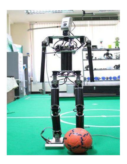 Fig. 3. Ka-Nok (Striker)