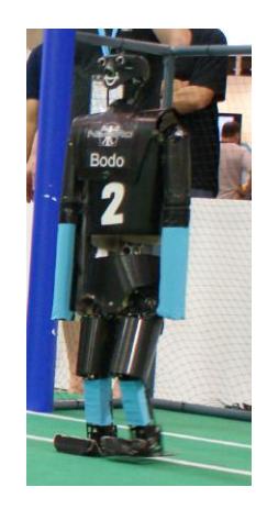 NimbRo TeenSize robots Copedo, Dynaped, and Bodo.
