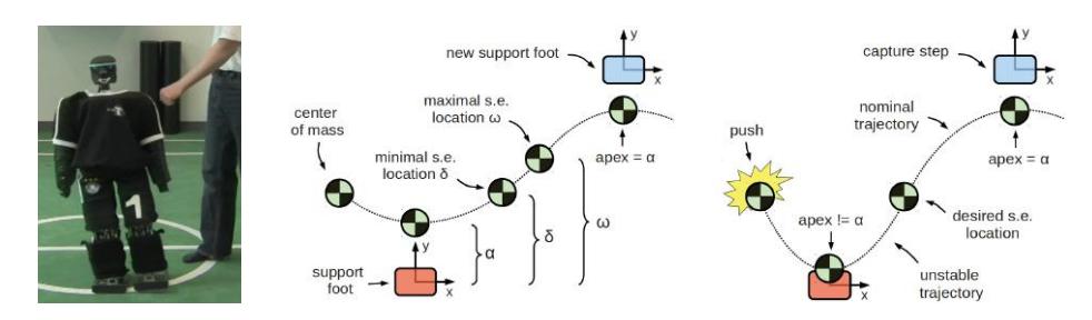 Lateral capture steps: Nominal CoM trajectories are characterized by three parameters α, δ, and ω. These can be obtained from the real robot. The time of the step is determined by the time the CoM reaches the desired support exchange location between δ and ω. The lateral footstep location is chosen such that the next step apex will occur at distance α [5].