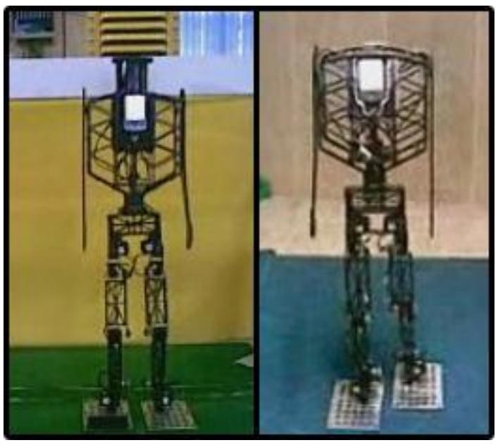 fig1. Shayan robot