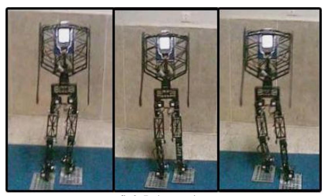 fig3. Robot motion