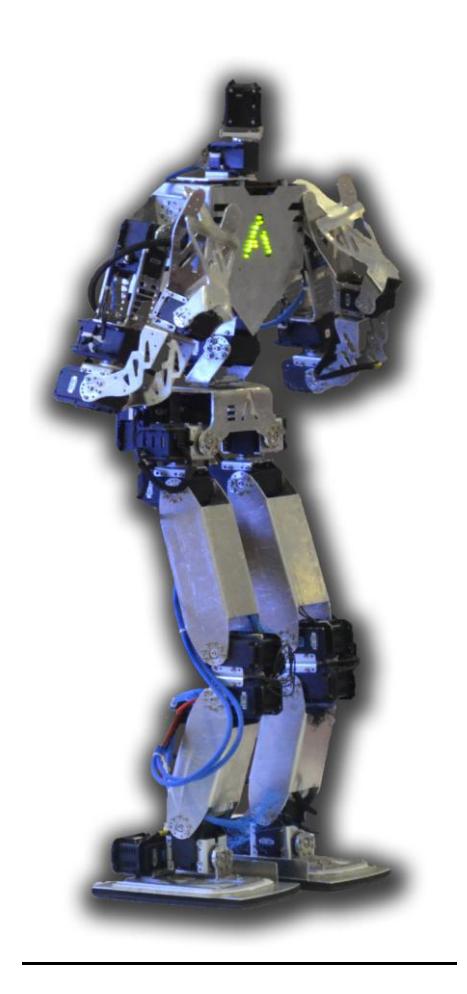 AcYut robot platform