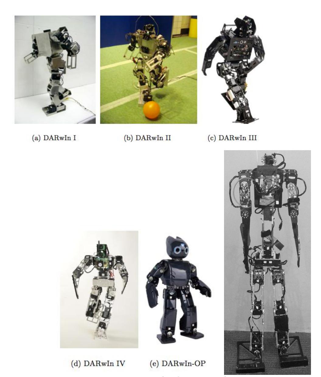 Fig. 1. Family of DARwIn Robots