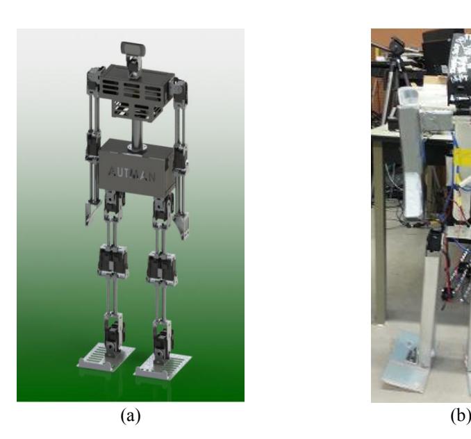 Figure 1: (a) 