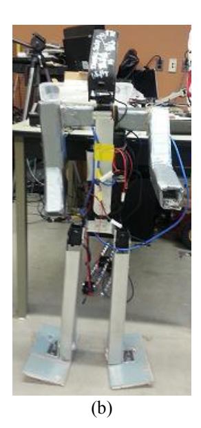 Figure 1: (a) 