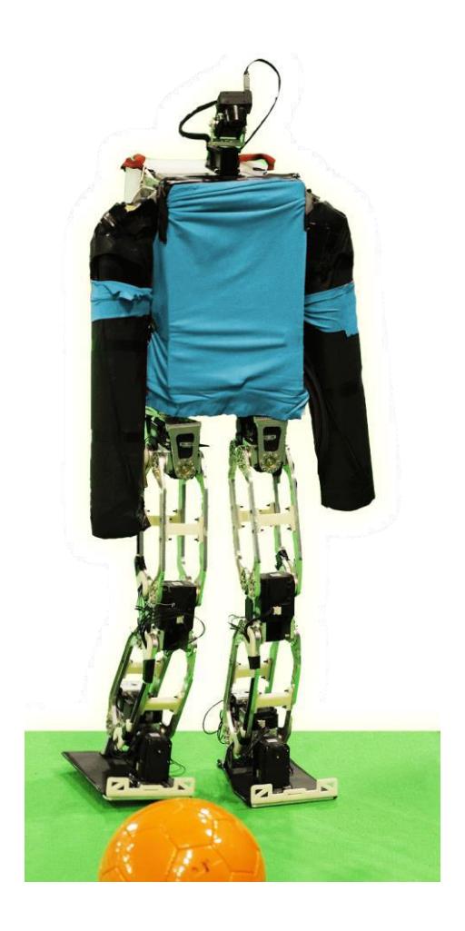 Team AcYut robot