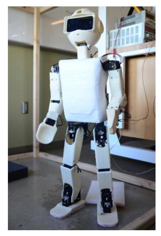 Figure 1 The MU-L8 Humanoid Robot