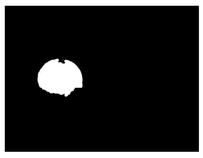 Figure 3 Video frame passed through threshold filter