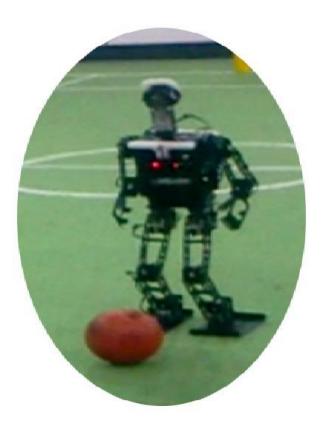 Figure 1.Parand Teen Size Humanoid named 