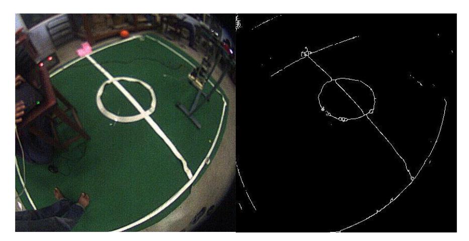Detection of Field Lines