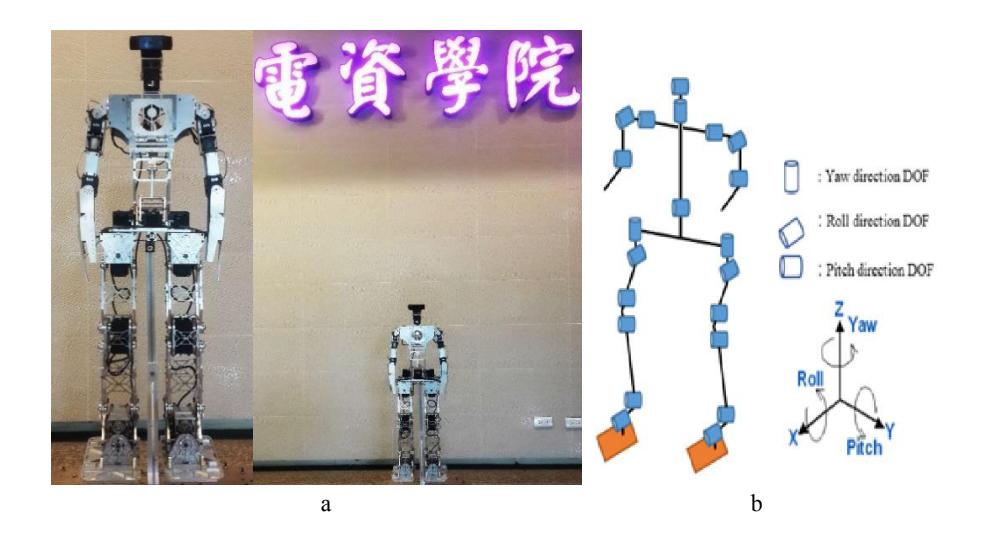 Fig. 1. HuroEvolutionTN. (a) Whole Body, (b) Structure design.