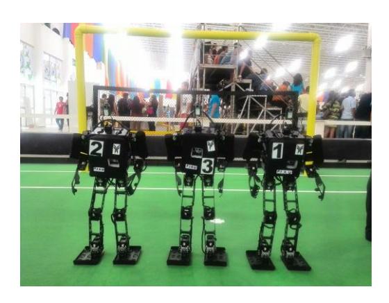 Figure 1. Parand Teen Size Humanoid named 