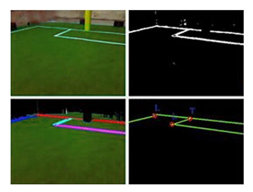 Figure 4. field features detection