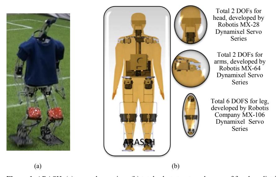 ARASH, (a) general overview, (b) total robot structure degrees of freedom distributions