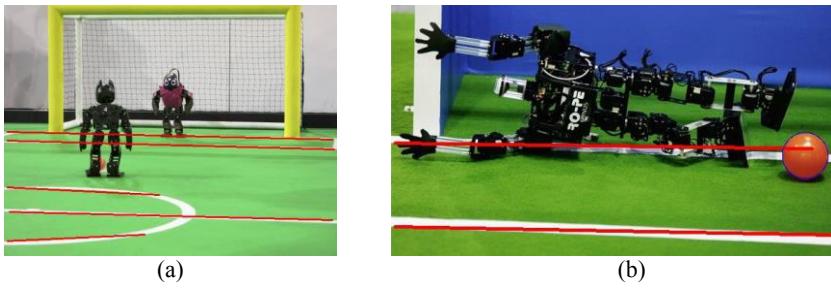 Line and ball detection using edge-based methods