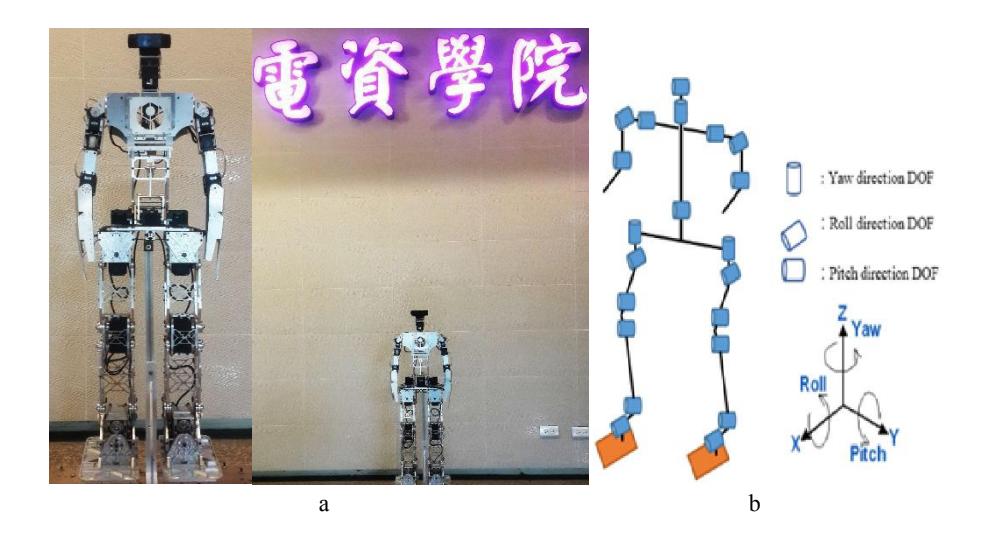 HuroEvolutionTN. (a) Whole Body, (b) Structure design.