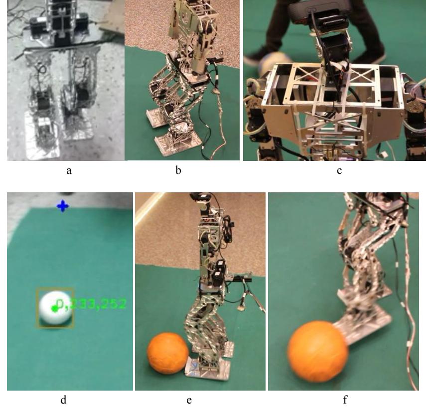 Training Process: (a) Walking Training without Body. (b) Walking Training with Complete Body. (c) Tracking Ball Training. (d) White Ball Detection. (e) Dribbling Training. (f) Kicking Training