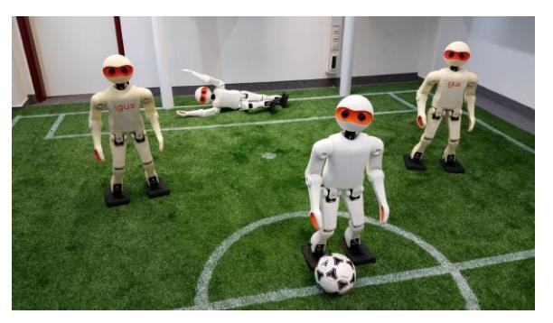 Left: The first two authors with igus Humanoid Open Platform robots. Right: Two generations of igus Humanoid Open Platform robots.