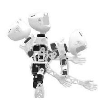 ARASH's new designed articulated spine