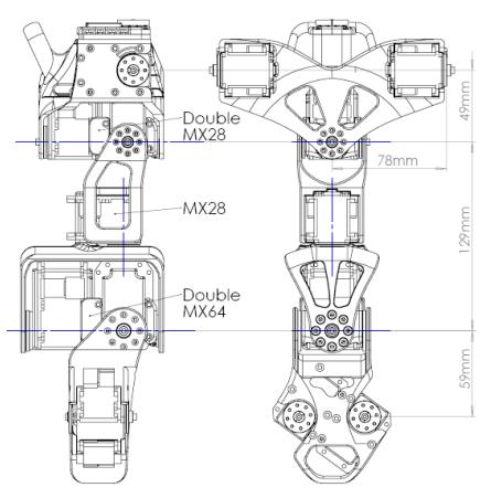 ARASH's new designed articulated spine