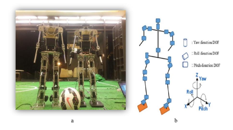 Fig. 1. HuroEvolutionTN. (a) Whole Body, (b) Structure design.