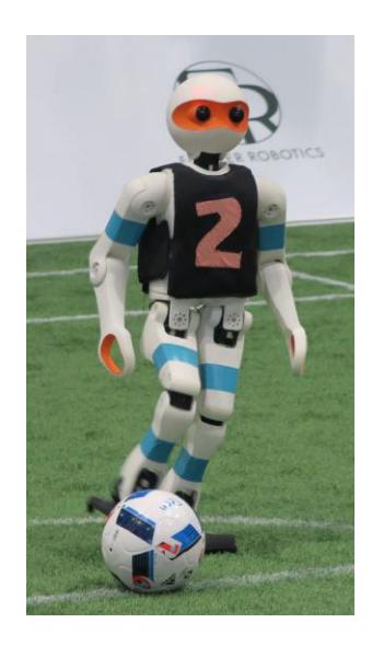 The igus Humanoid Open Platform robot.