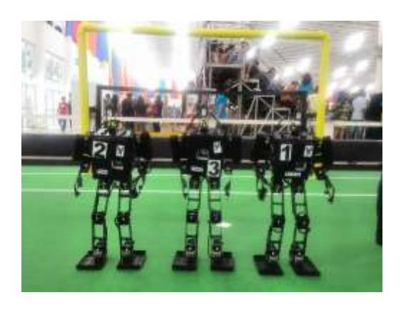 Figure 1. Parand Teen/Kid Humanoid named 