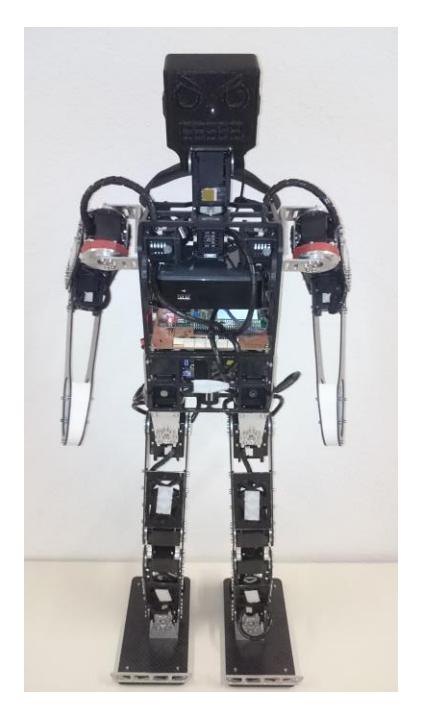Fig. 1. The Robot Gambi