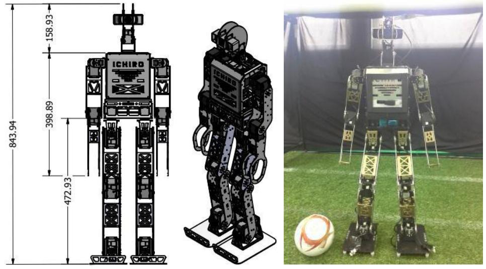 Figure 1. Mechanic Design of HumanoidRobot