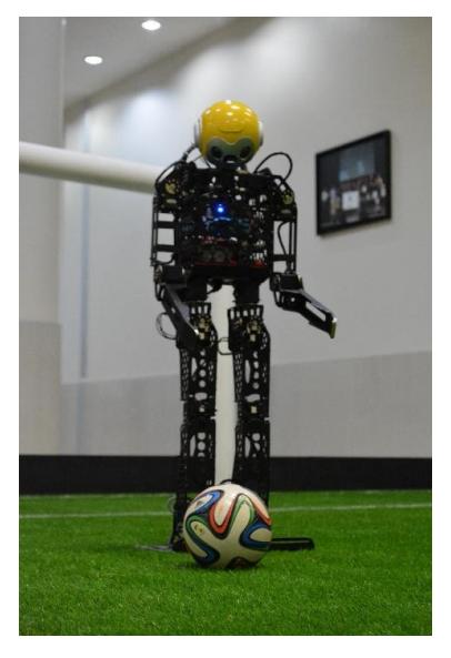 Viyana humanoid robot.