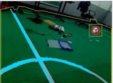 Figure 4. Field Boundary Extraction, Lines and Ball Detection