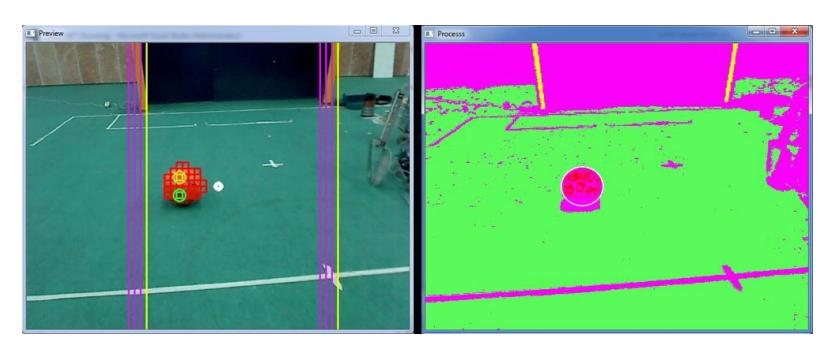 Fig. 6. The robot's image processing to detect ball, goal and field lines