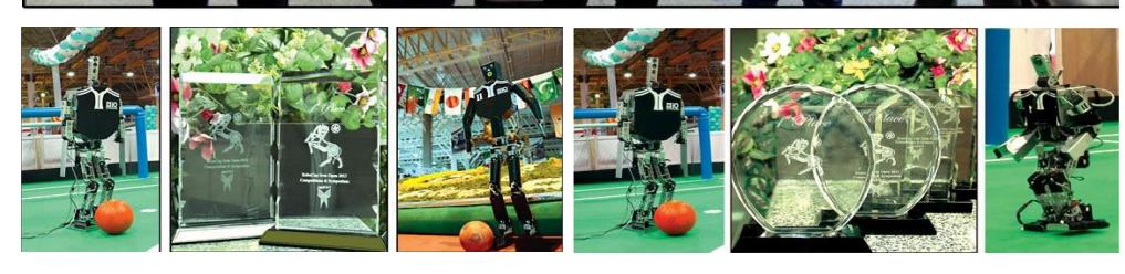 BehRobot team achievements
