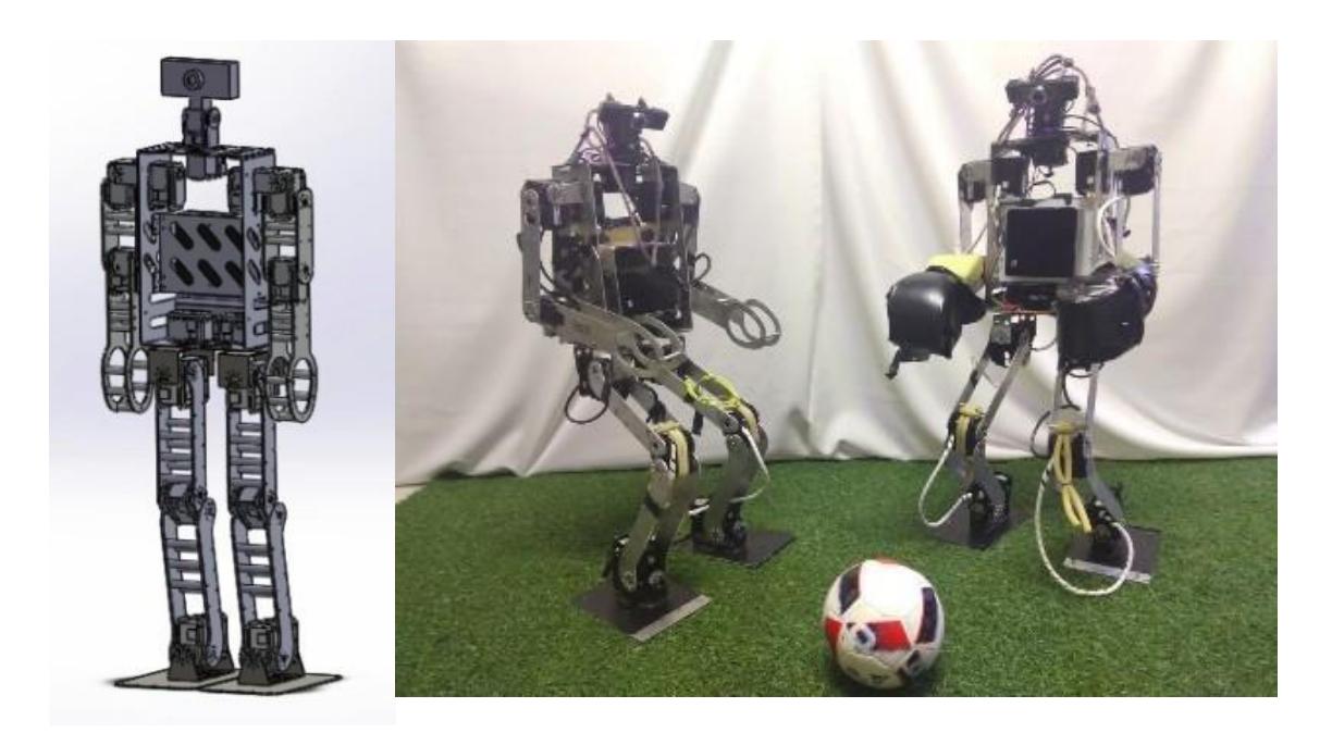 (a) 3D project; (b) Robots Sakura (left) and Steklovata (right). Fig. 1.