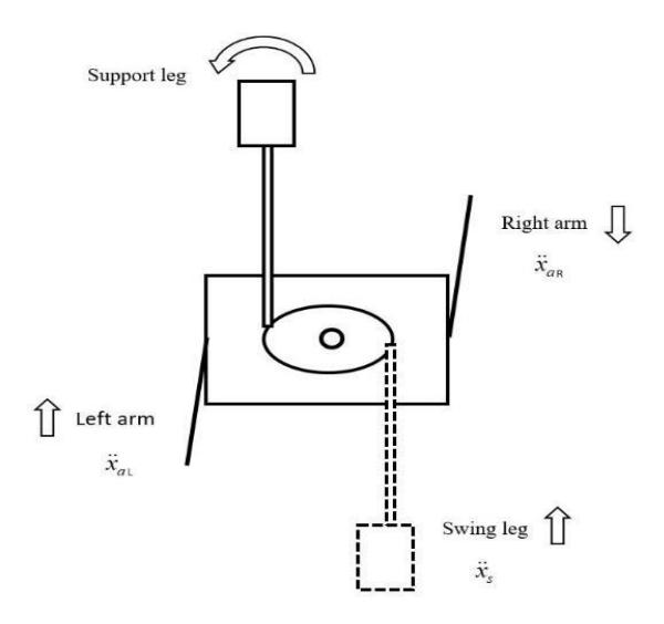 Fig. 5. Arm and leg swing acceleration