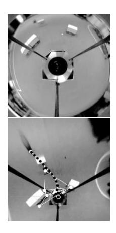 (Top row from left to right): Omni-vision image of the scene, white boxes are the obstacles; undistorted image; the remaining images show a detailed view of the triangulation over the perceived obstacles, R denotes the robot, T the target. For the sake of clarity only the nearest obstacles are marked.